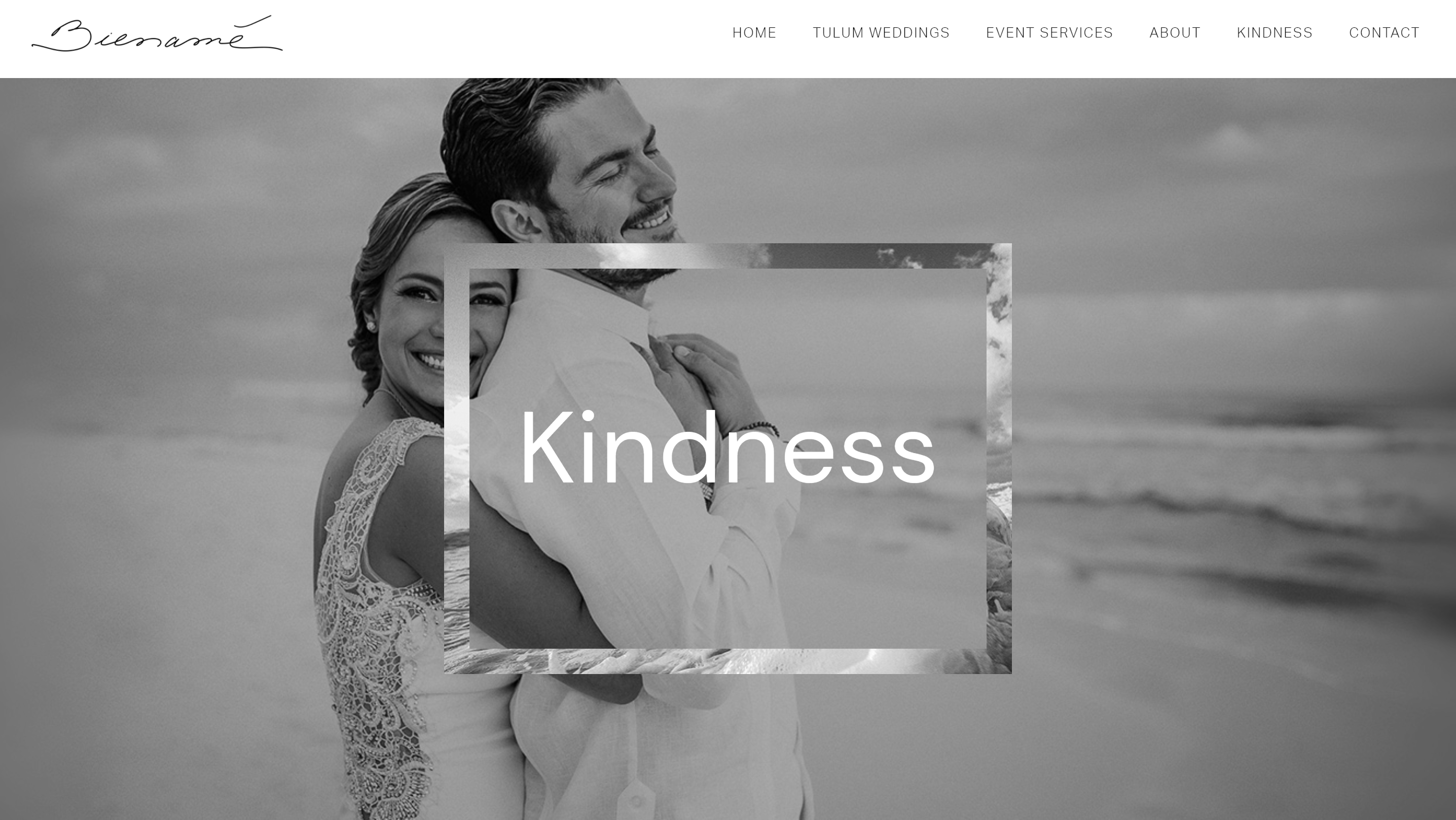 Web Design and Branding