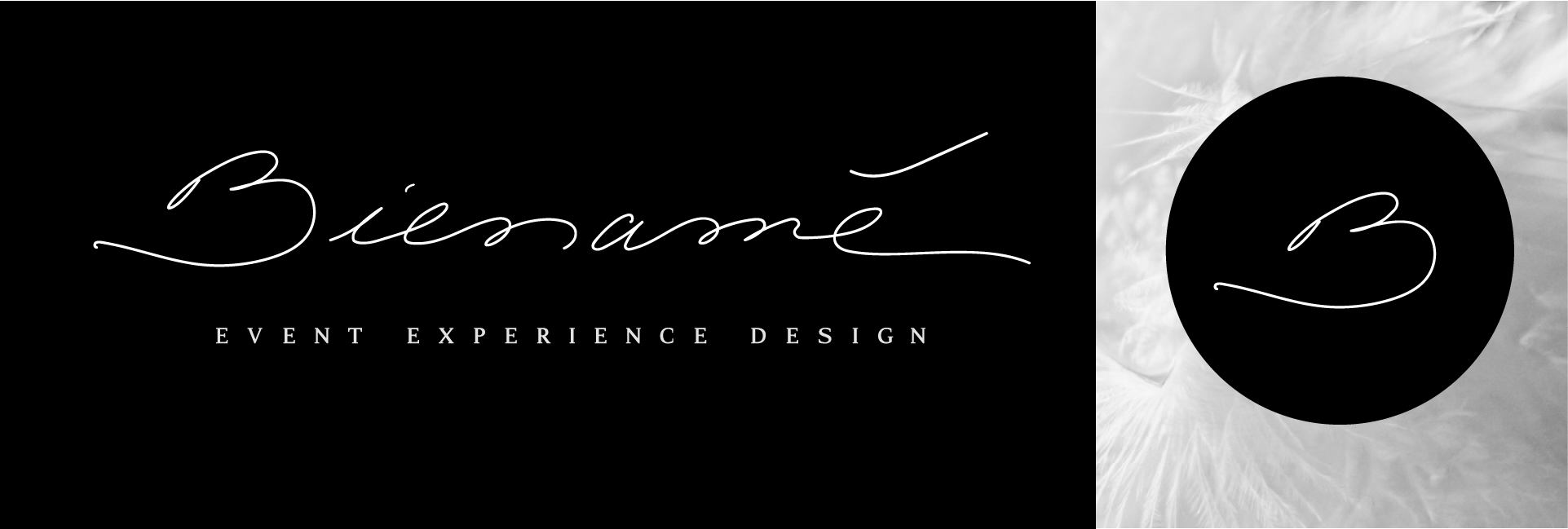 Web Design and Branding