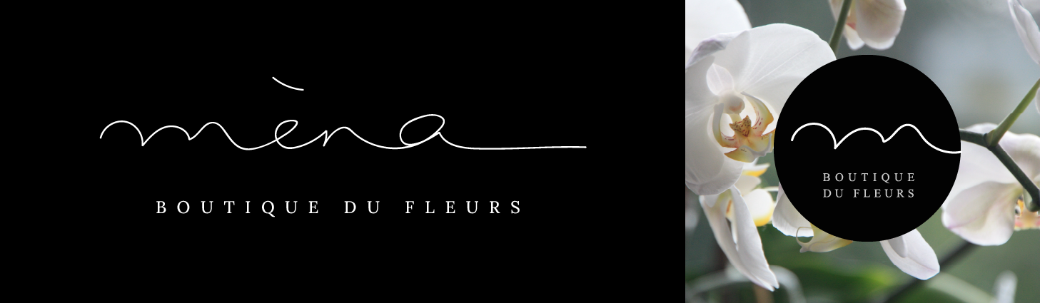 Web Design and Branding