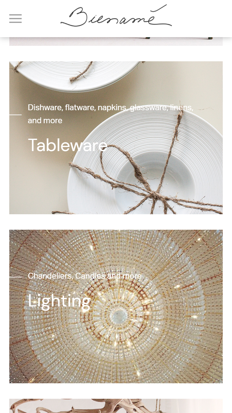 Web Design and Branding