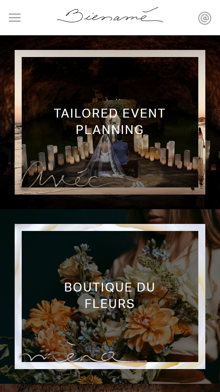 Web Design and Branding