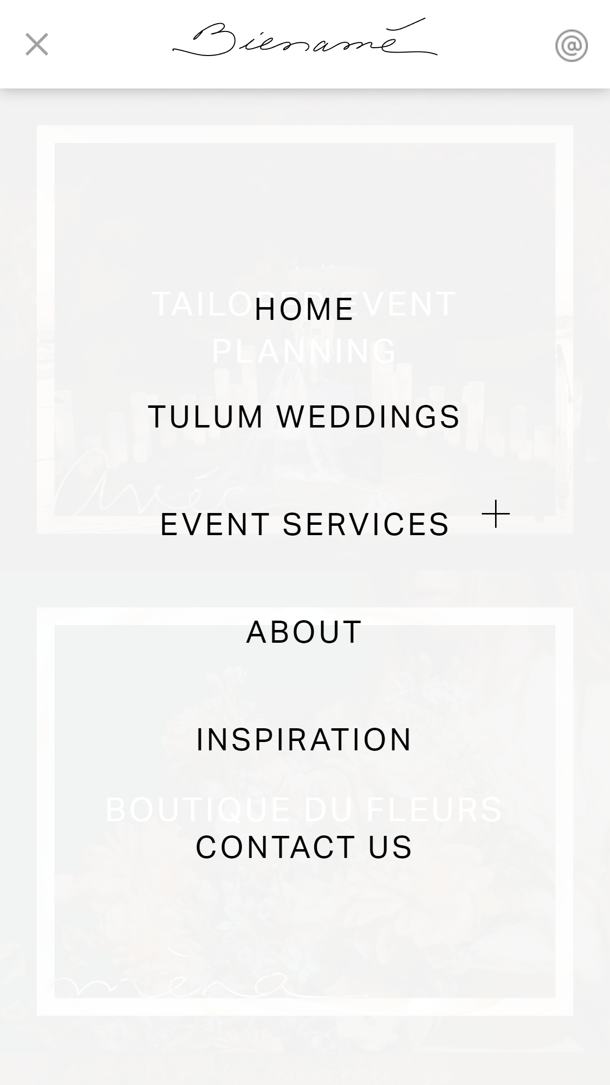 Web Design and Branding